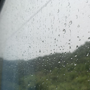 Chinesebdsm在线视频
