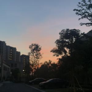 Chinesebdsm在线视频
