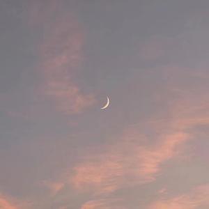 Chinesebdsm在线视频
