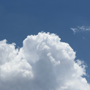 Chinesebdsm在线视频
